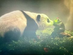 -星轶影院(南京茂业天地店)