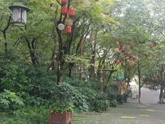 -天目湖山水园