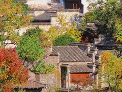 -塔川景区