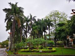 -金砂公园