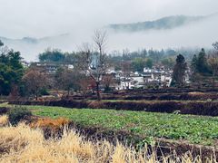 -塔川景区