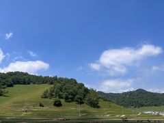 -关山牧场王师烤全羊