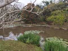 -中国科学院西双版纳热带植物园