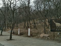 -水池山公园