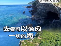 -杨梅坑