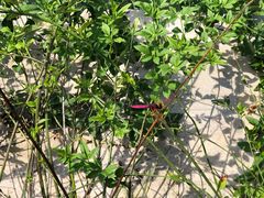 -溪口-滕头旅游景区