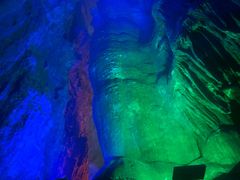 -安安宠物医院(佳林路分院)