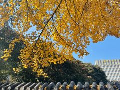 -郑和公园