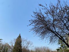 -天津市和平区西宁道清真寺