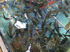 -渔民新村(番禺总店)