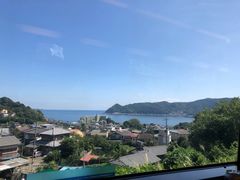 -伊豆观海列车