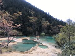 -黄龙山原始森林景区