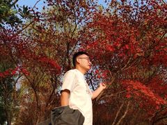 -洋湖国家湿地公园