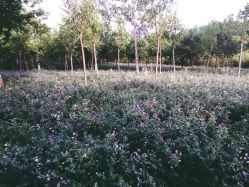 -大望京儿童游乐场