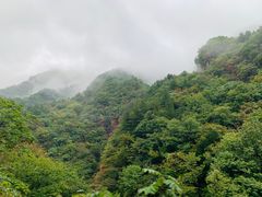 -龙峪湾国家森林公园