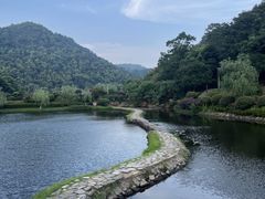 -桃花岭景区