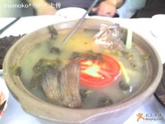 酸菜鱼汤-玲珑餐厅(陕西南路店)