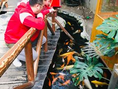 -上海大自然野生昆虫馆(东方明珠·爬宠昆虫探索中心)