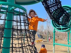 -永定河休闲森林公园