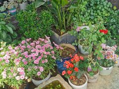 -船老大饭店(太滆街店)