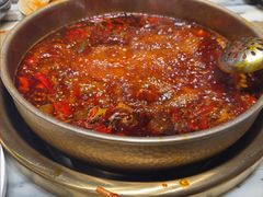 -矮板凳老火锅(宽窄巷子店)