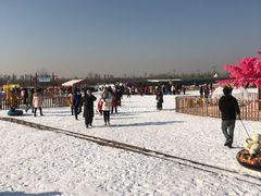 -绿野森林乐园冰雪季