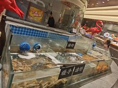 -汉阳廷自助烤肉·火锅(万丰海岸城店)