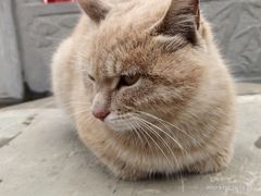 -终南山南五台景区