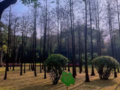 -晓港公园