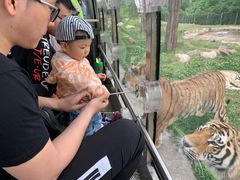 -西安秦岭野生动物园