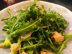 牛油果芝麻菜鸡肉沙拉-莫多多餐厅