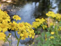 -东天目山风景区