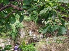 -天毓山庄·餐厅