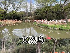 -上海野生动物园