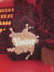 点击看大图 -Yestar宁波艺星整形医院