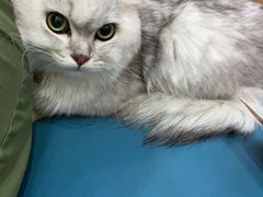 -联合动物医院(光谷诊疗中心)