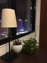 -TSO 慕尚·微潮派