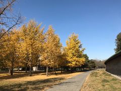 -东坝千亩湖公园