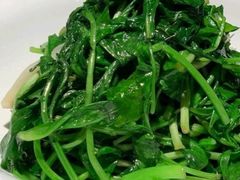 -井水小厨·湘菜(活力广场店)