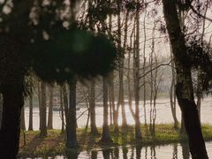 -上海共青森林公园