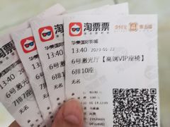 -华美国际影城(旧宫永辉店)