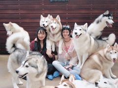 -TrueLove @ Neverland (Husky Cafe)