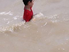 -碧海金沙
