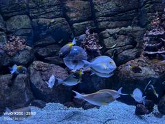 -成都浩海立方海洋公园