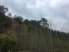 -神光山国家森林公园