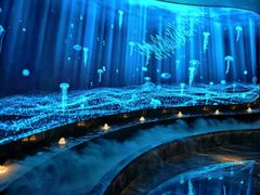 -唐宫足道·SPA·影院会馆(木渎店)