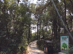 -仙岳公园