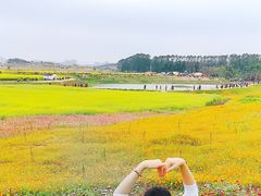 -光明小镇欢乐田园