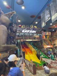 -卡通尼·Safari非洲探索乐园·生日会(金桥国际商业广场店)