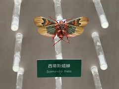 -国家自然博物馆